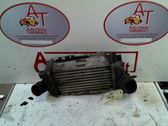 Intercooler radiator