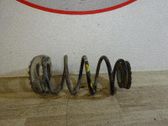 Feder hinten