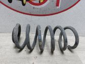 Muelle espiral trasero