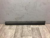 Rear fender molding trim