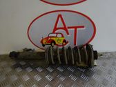 Front shock absorber with coil spring