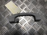 A set of handles for the ceiling