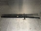 Drive shaft (set)