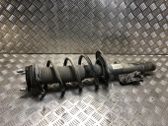 Front shock absorber with coil spring