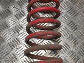 Muelle espiral trasero
