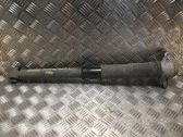 Stoßdämpfer hinten