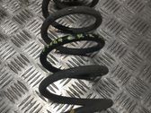 Muelle espiral trasero