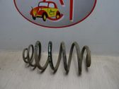 Rear coil spring