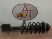 Amortiguador delantero con muelle espiral