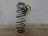 Feder hinten