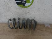 Feder hinten