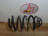 Rear coil spring