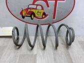 Feder hinten