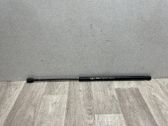 Amortiguador/puntal del maletero/compartimento de carga
