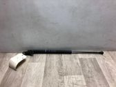 Tailgate/trunk strut/damper