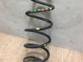 Muelle espiral trasero