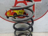 Feder hinten