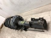 Front shock absorber with coil spring