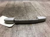 A set of handles for the ceiling