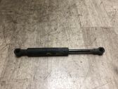 Tailgate/trunk strut/damper