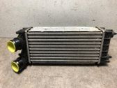 Radiador intercooler