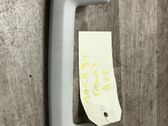 A set of handles for the ceiling