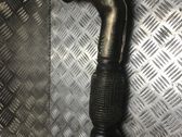 Exhaust gas pipe