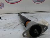 Stoßdämpfer hinten