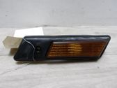 Front fender indicator light
