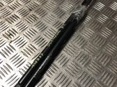 Tailgate/trunk strut/damper