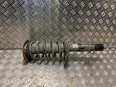 Front shock absorber with coil spring