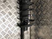 Front shock absorber with coil spring