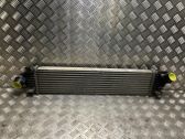 Intercooler radiator