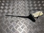 Radion antenni