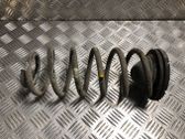 Muelle espiral trasero