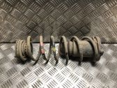 Rear coil spring