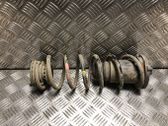 Rear coil spring