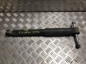 Rear shock absorber/damper