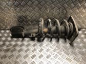 Front shock absorber with coil spring