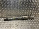 Rear shock absorber/damper