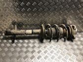Front shock absorber with coil spring