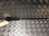 Radio antenna