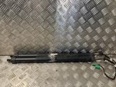 Tailgate/trunk strut/damper