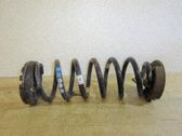 Muelle espiral trasero
