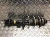 Amortiguador delantero con muelle espiral