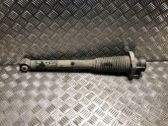 Rear shock absorber/damper