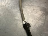 Seat belt adjustment motor
