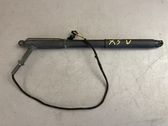 Tailgate/trunk strut/damper