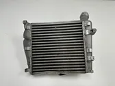 Radiador intercooler