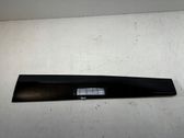 Front door trim (molding)